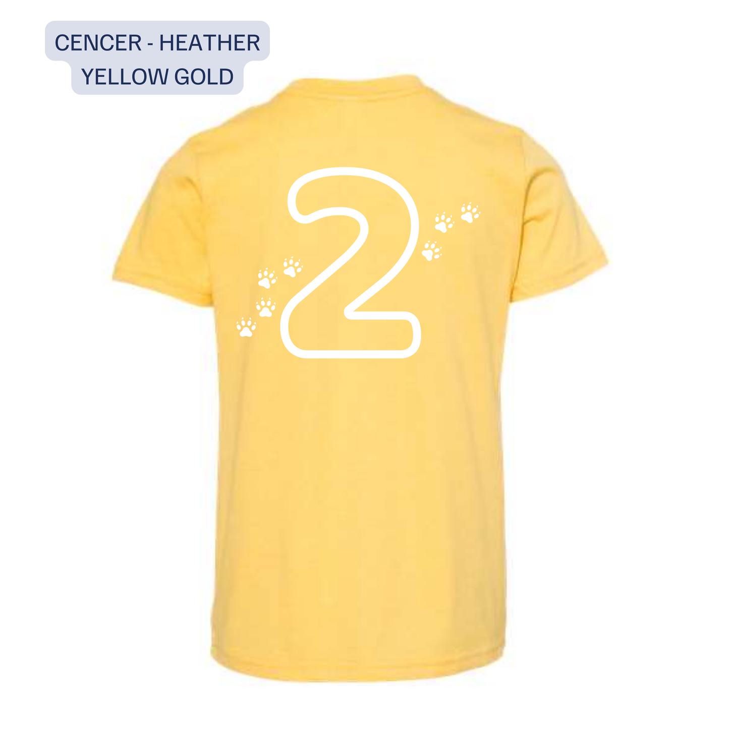 CENCER • 2nd Grade T-Shirts • Mattawan Early Elementary