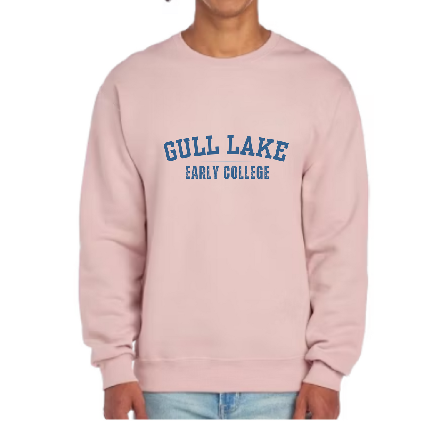 GL Early College or Virtual Partnership • Pullover • Vintage