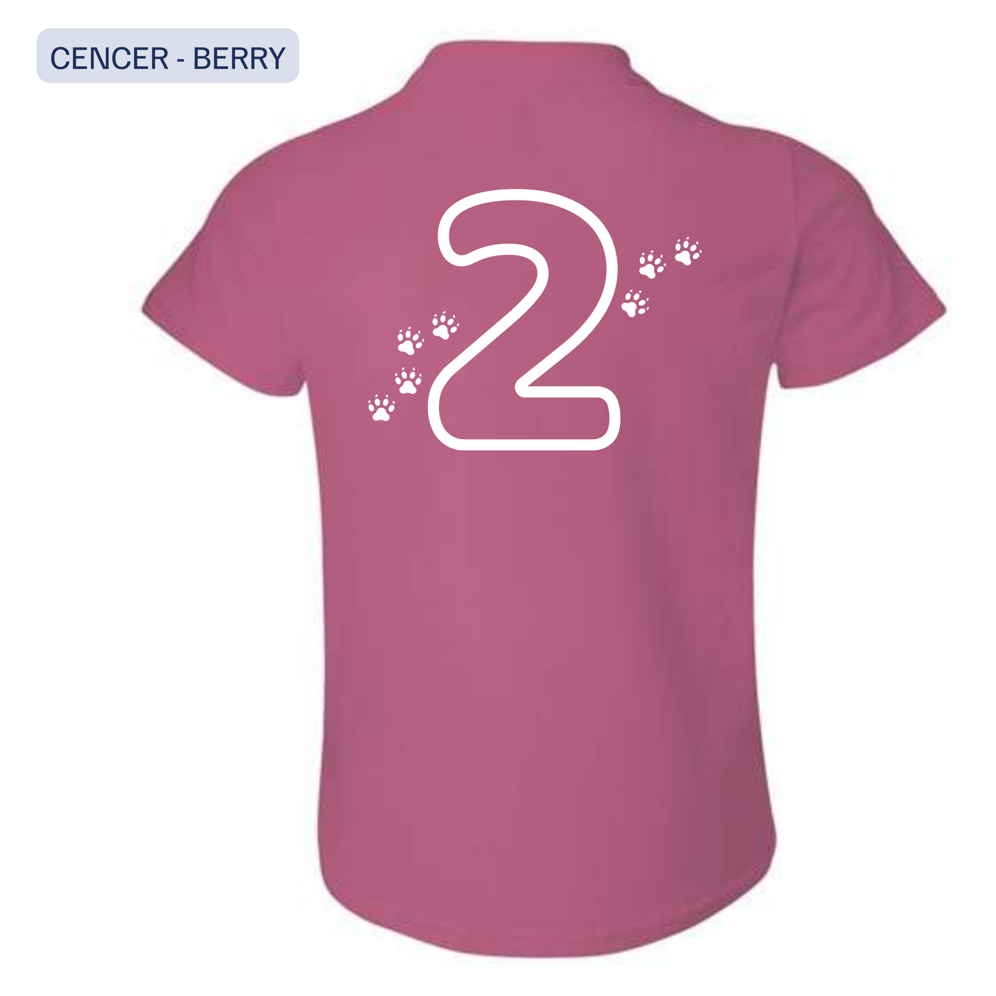 CENCER • 2nd Grade T-Shirts • Mattawan Early Elementary