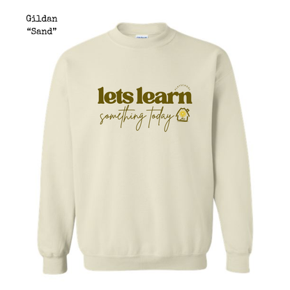 Let's Learn Something Today • Tee or Sweatshirt • ADULT SIZES