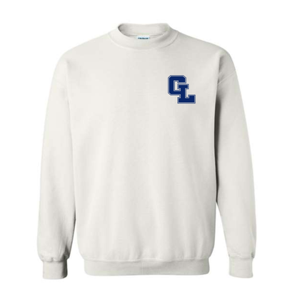 Sleeve Detail Crewneck Sweatshirt • Early College or Virtual Partnership