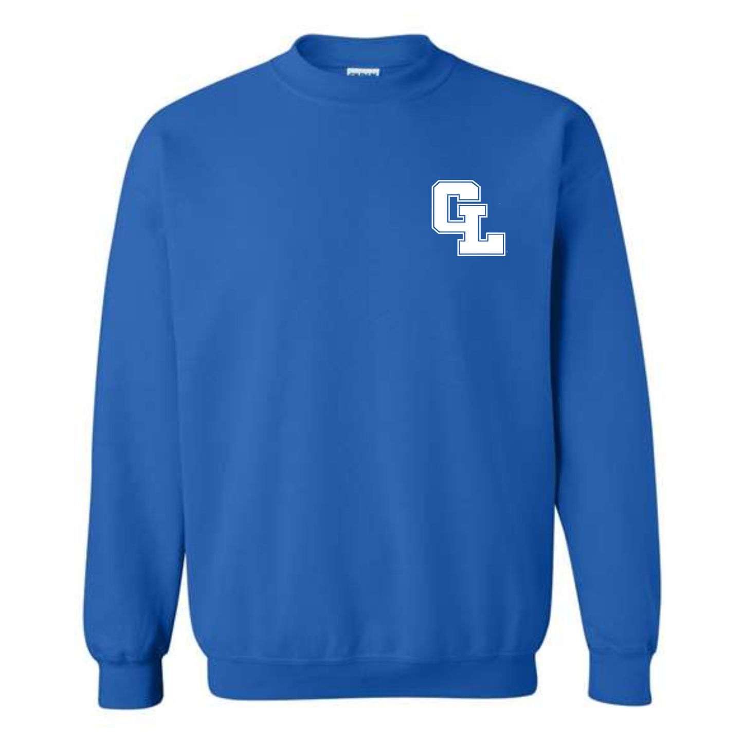 Sleeve Detail Crewneck Sweatshirt • Early College or Virtual Partnership