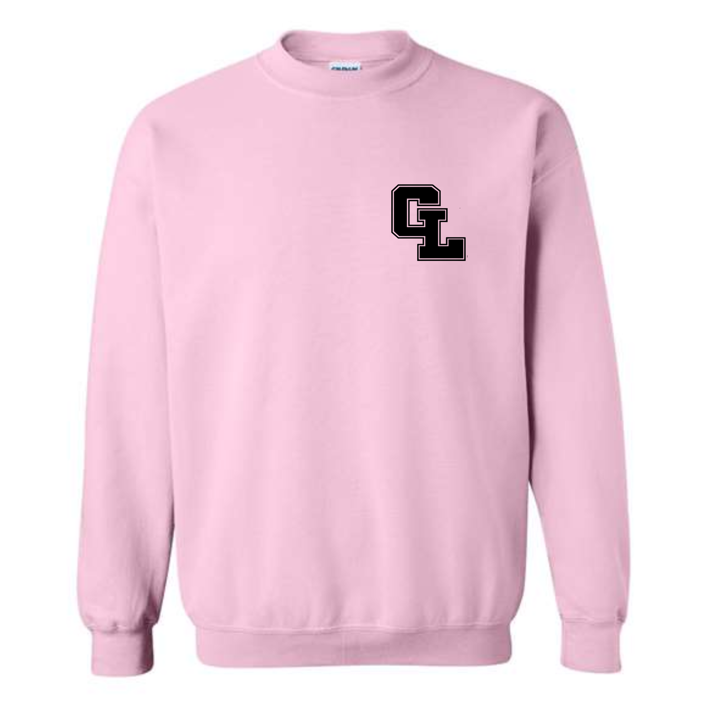 Sleeve Detail Crewneck Sweatshirt • Early College or Virtual Partnership