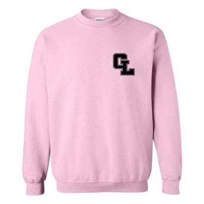 Sleeve Detail Crewneck Sweatshirt • Early College or Virtual Partnership