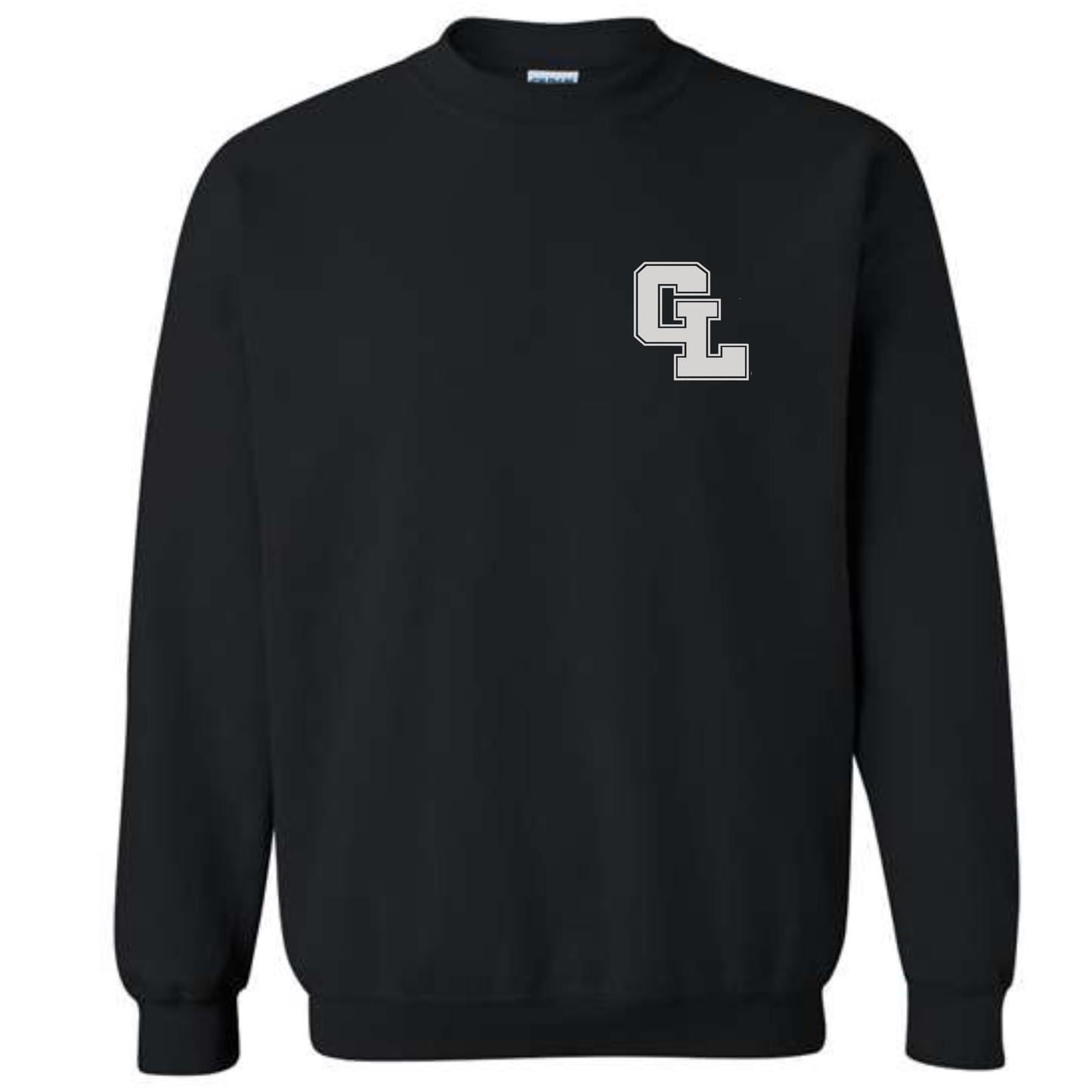 Sleeve Detail Crewneck Sweatshirt • Early College or Virtual Partnership