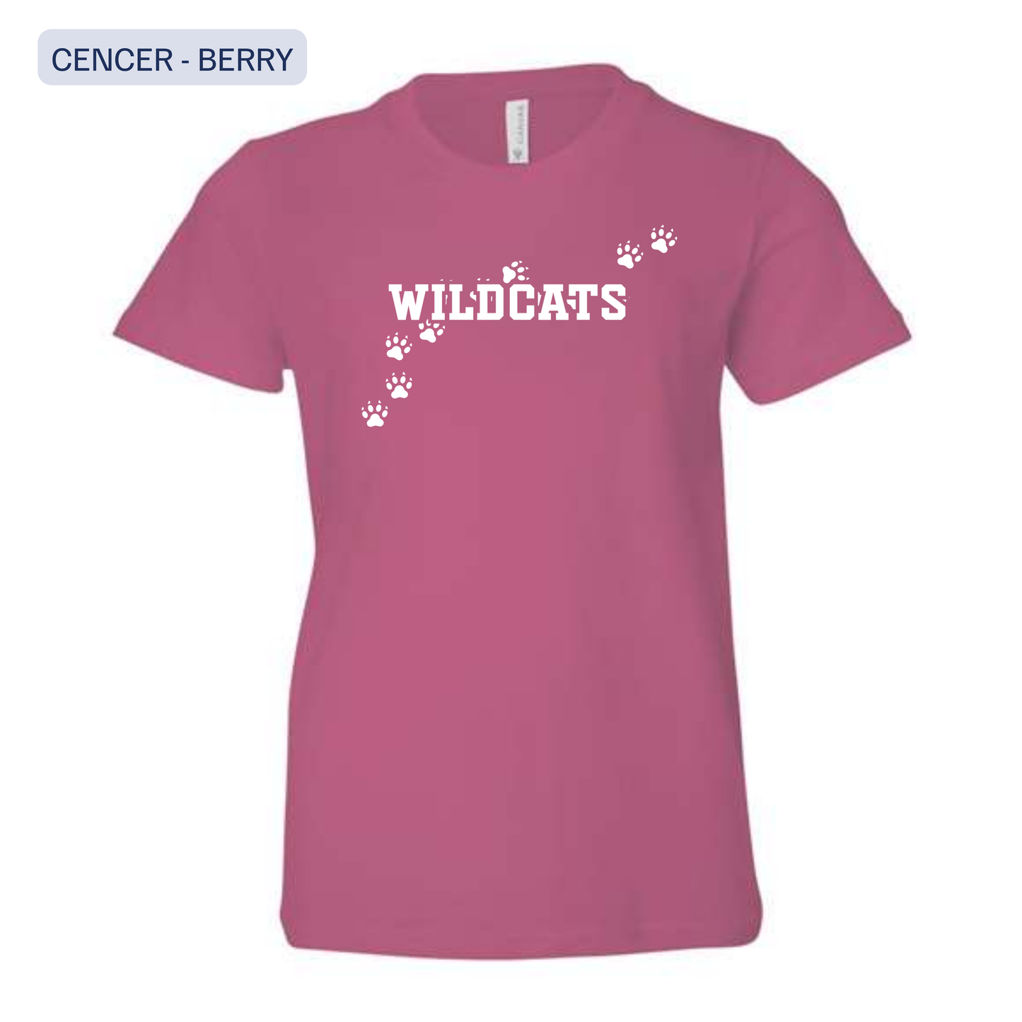 CENCER • 2nd Grade T-Shirts • Mattawan Early Elementary